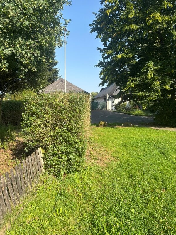 Frisch geschnittene Hecke entlang eines Holzzauns im sonnigen Garten